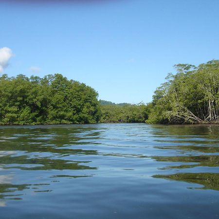 Isla Violin Eco-Lodge Drake Bay ภายนอก รูปภาพ