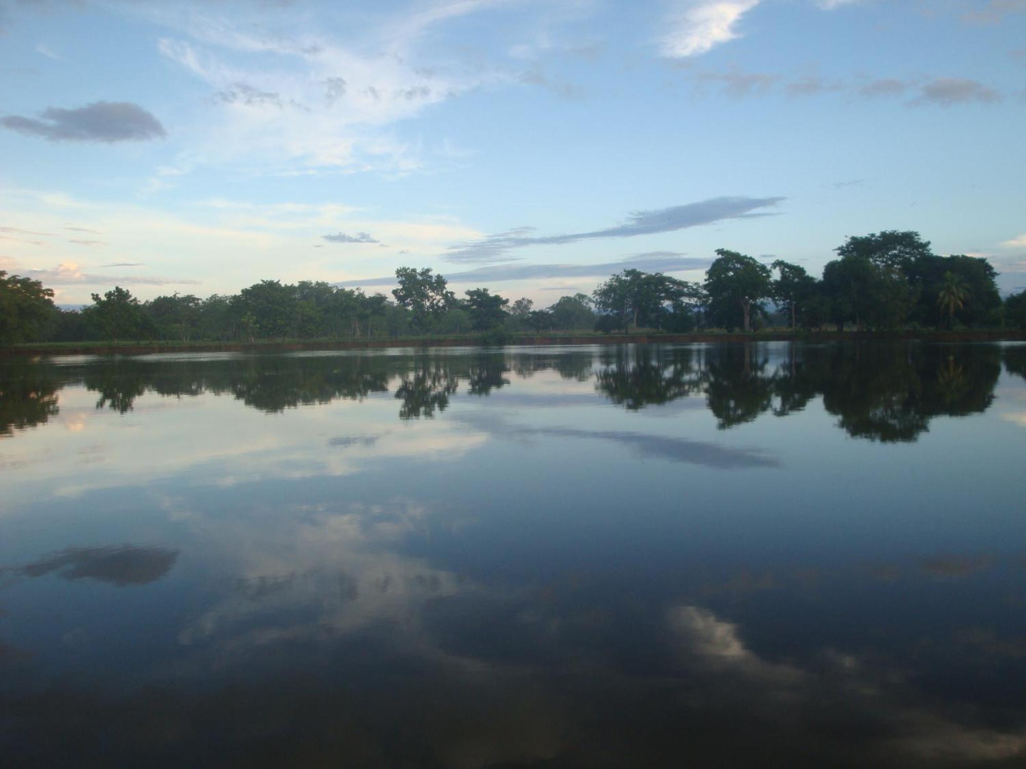 Isla Violin Eco-Lodge Drake Bay ภายนอก รูปภาพ