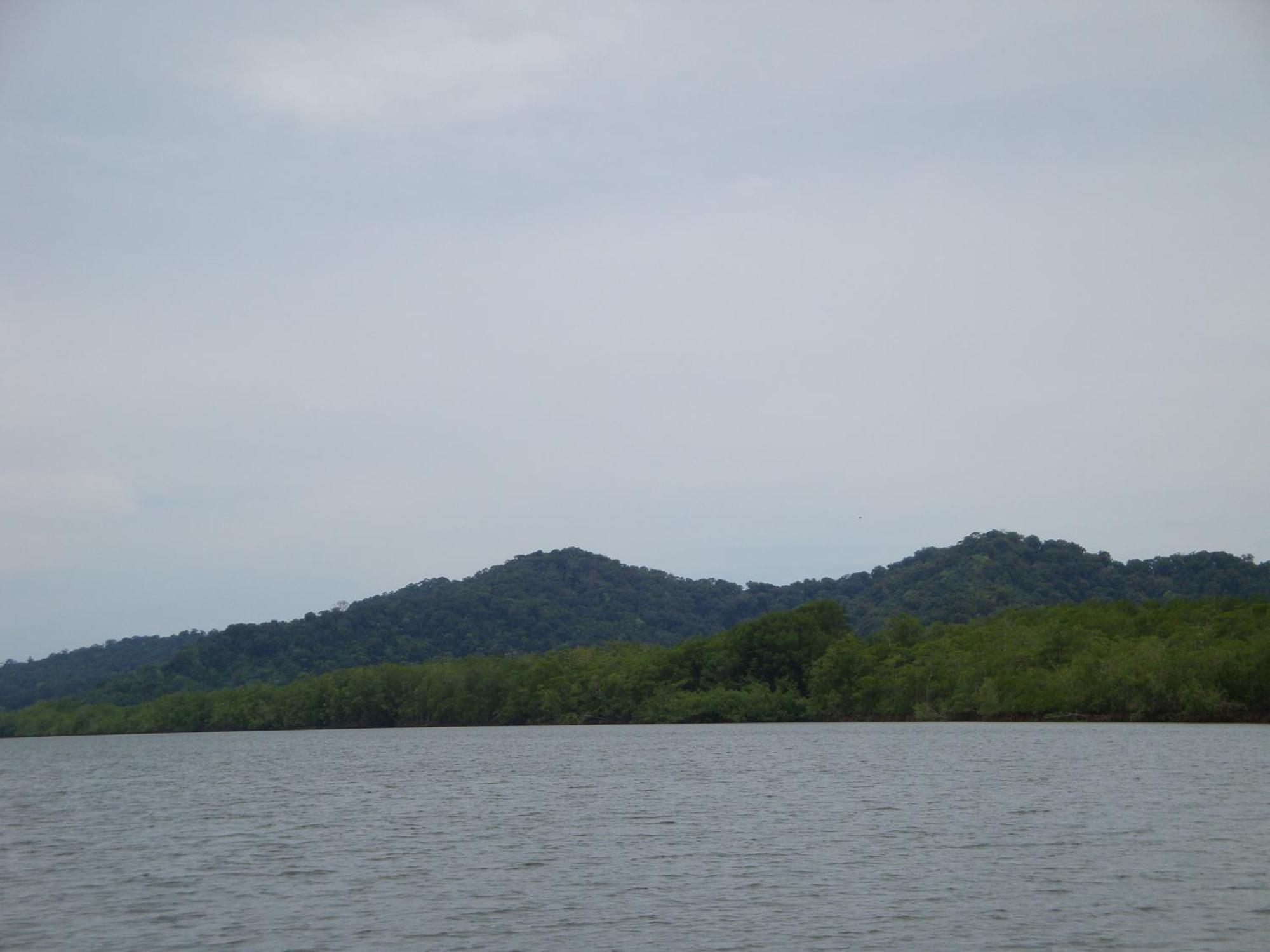 Isla Violin Eco-Lodge Drake Bay ภายนอก รูปภาพ
