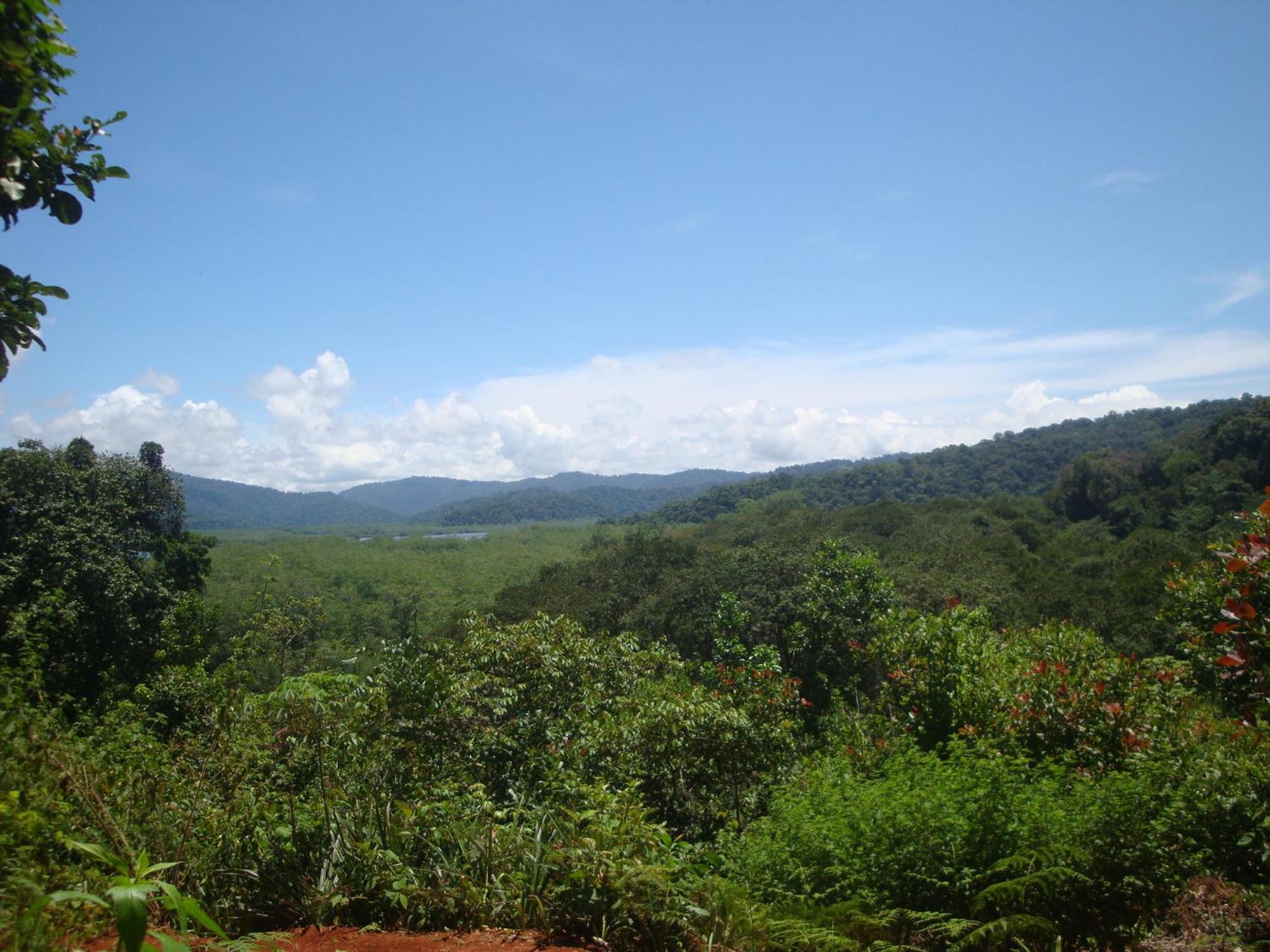 Isla Violin Eco-Lodge Drake Bay ภายนอก รูปภาพ