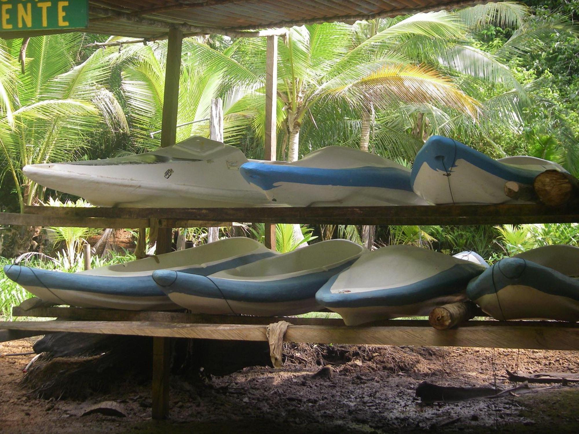Isla Violin Eco-Lodge Drake Bay ภายนอก รูปภาพ