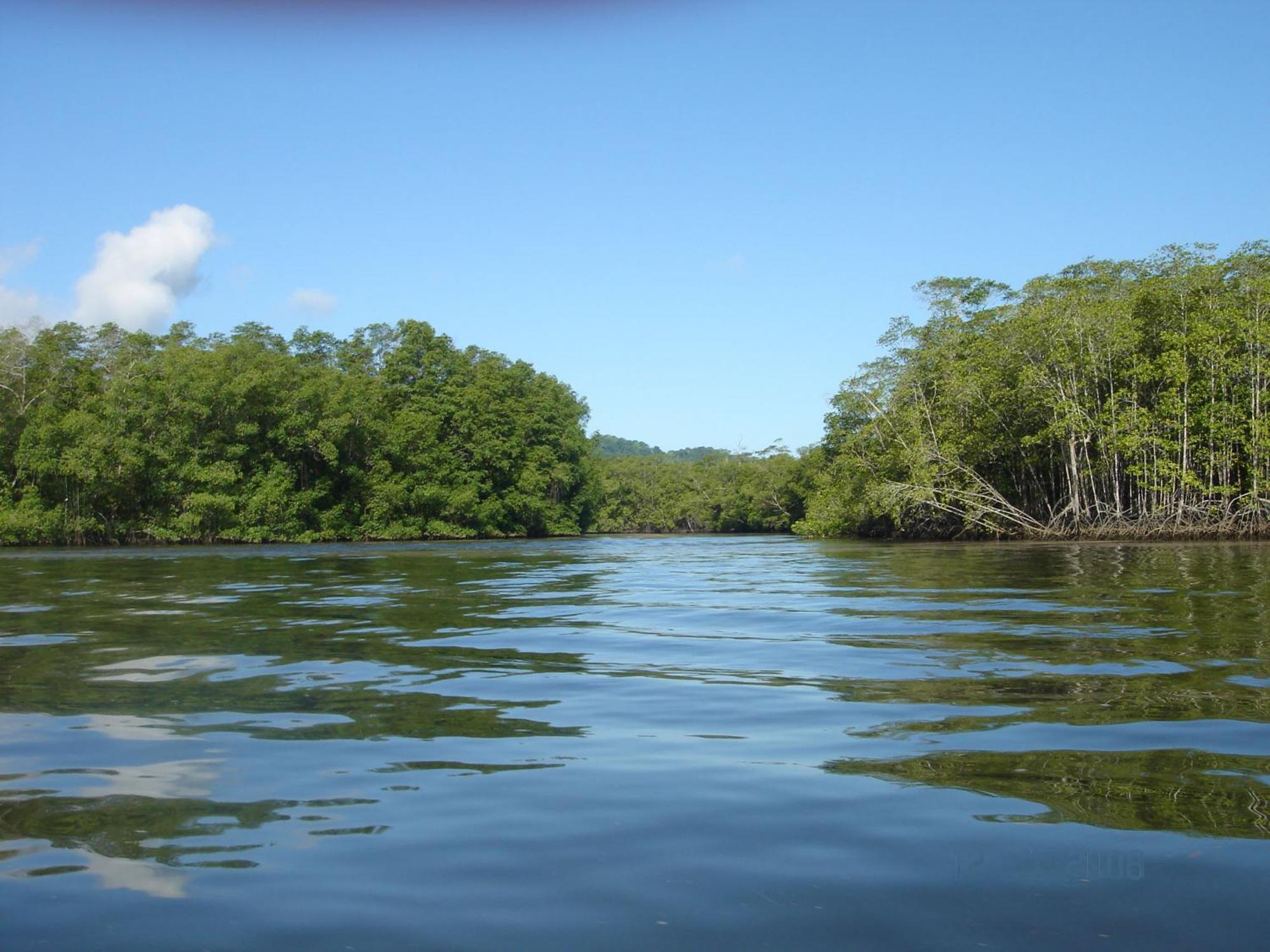 Isla Violin Eco-Lodge Drake Bay ภายนอก รูปภาพ