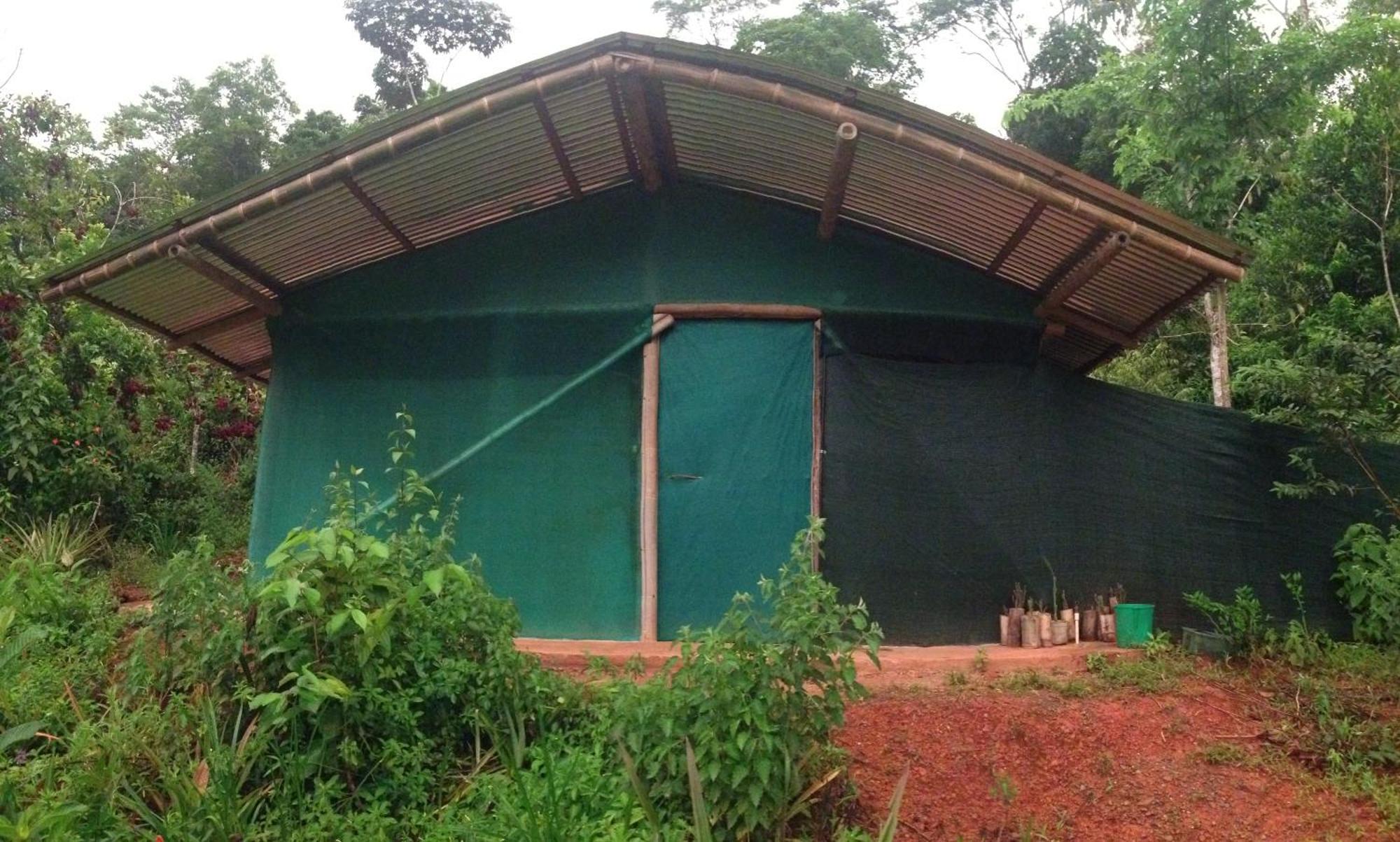 Isla Violin Eco-Lodge Drake Bay ห้อง รูปภาพ
