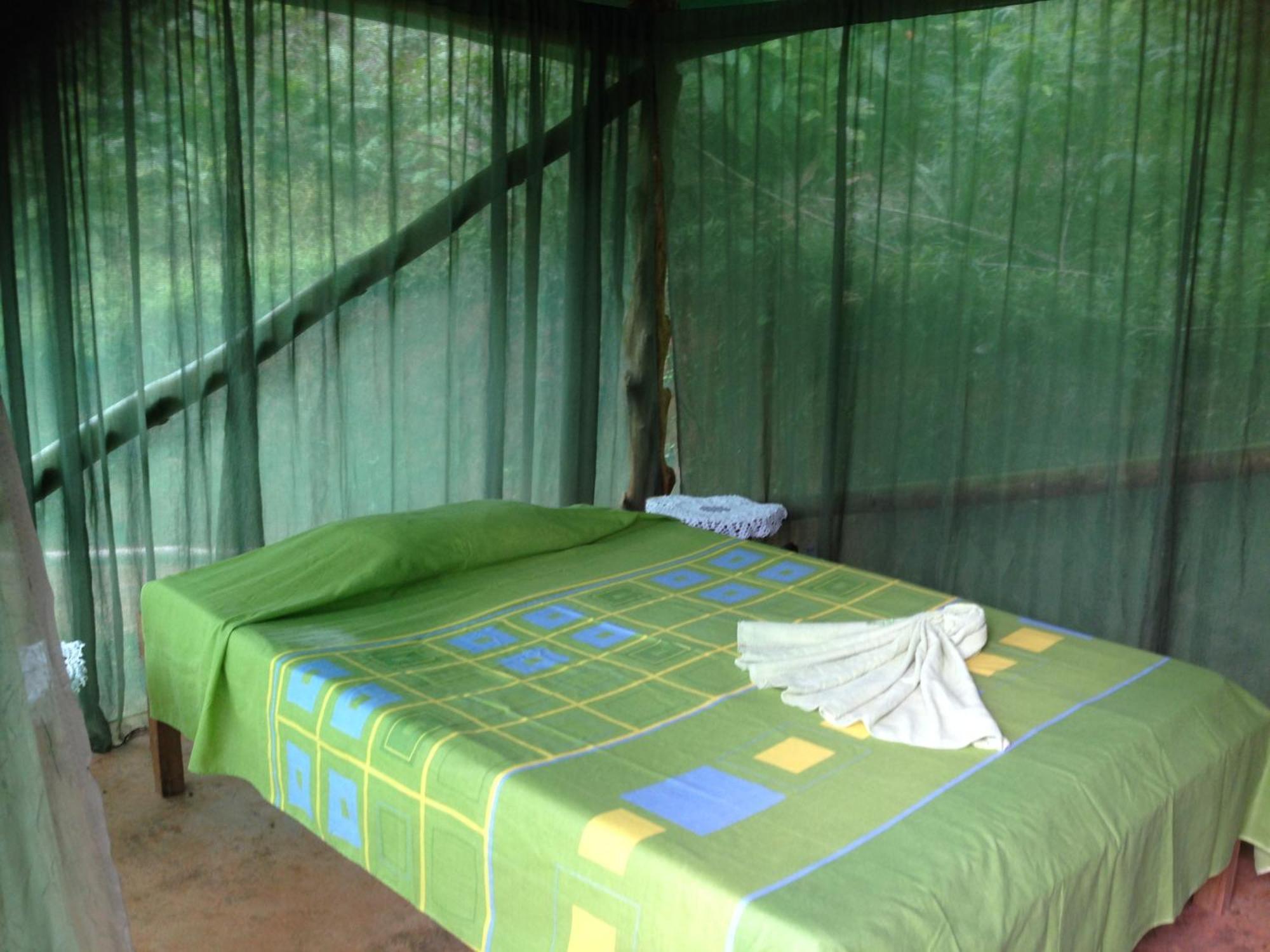 Isla Violin Eco-Lodge Drake Bay ห้อง รูปภาพ