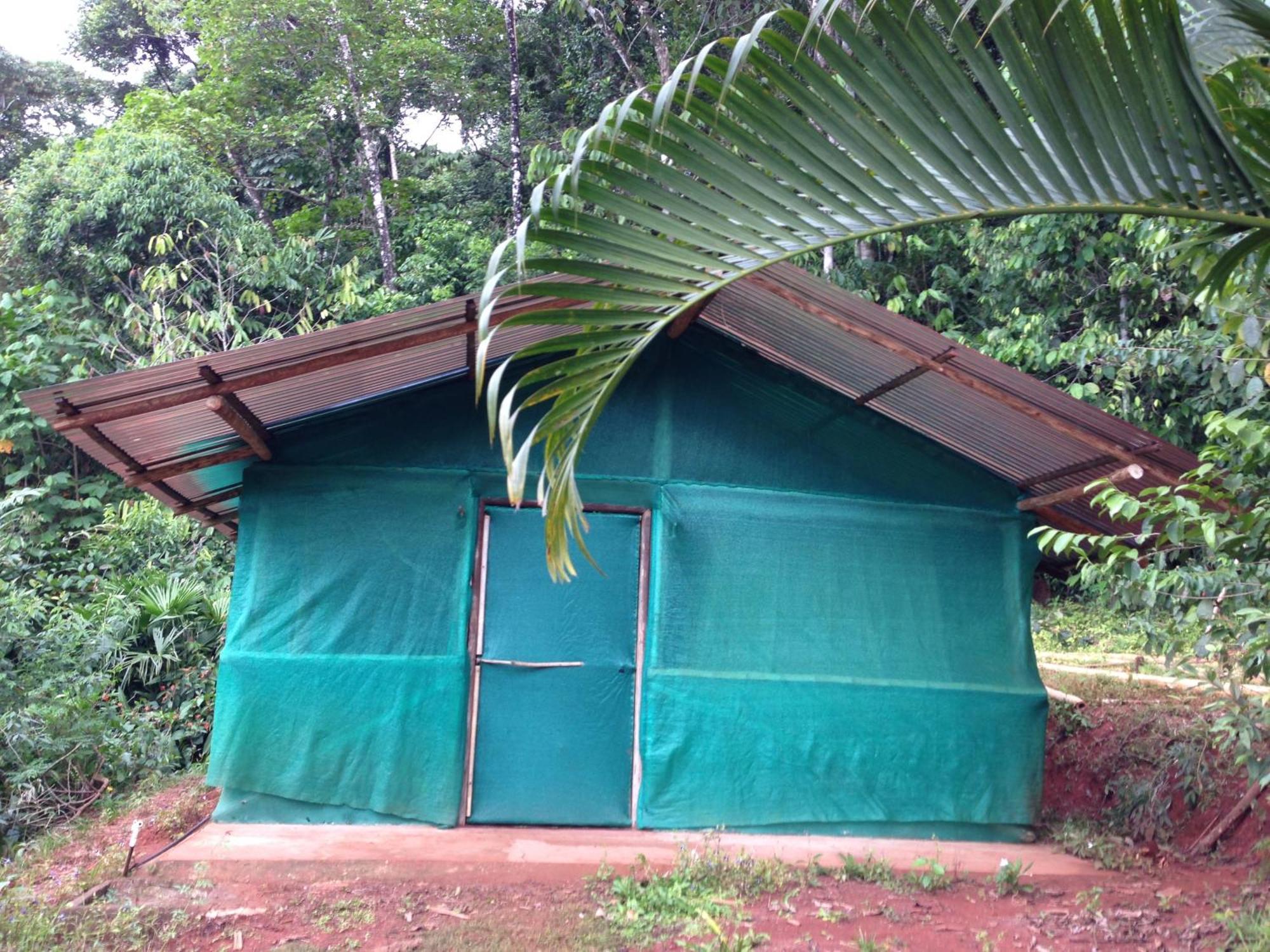 Isla Violin Eco-Lodge Drake Bay ห้อง รูปภาพ