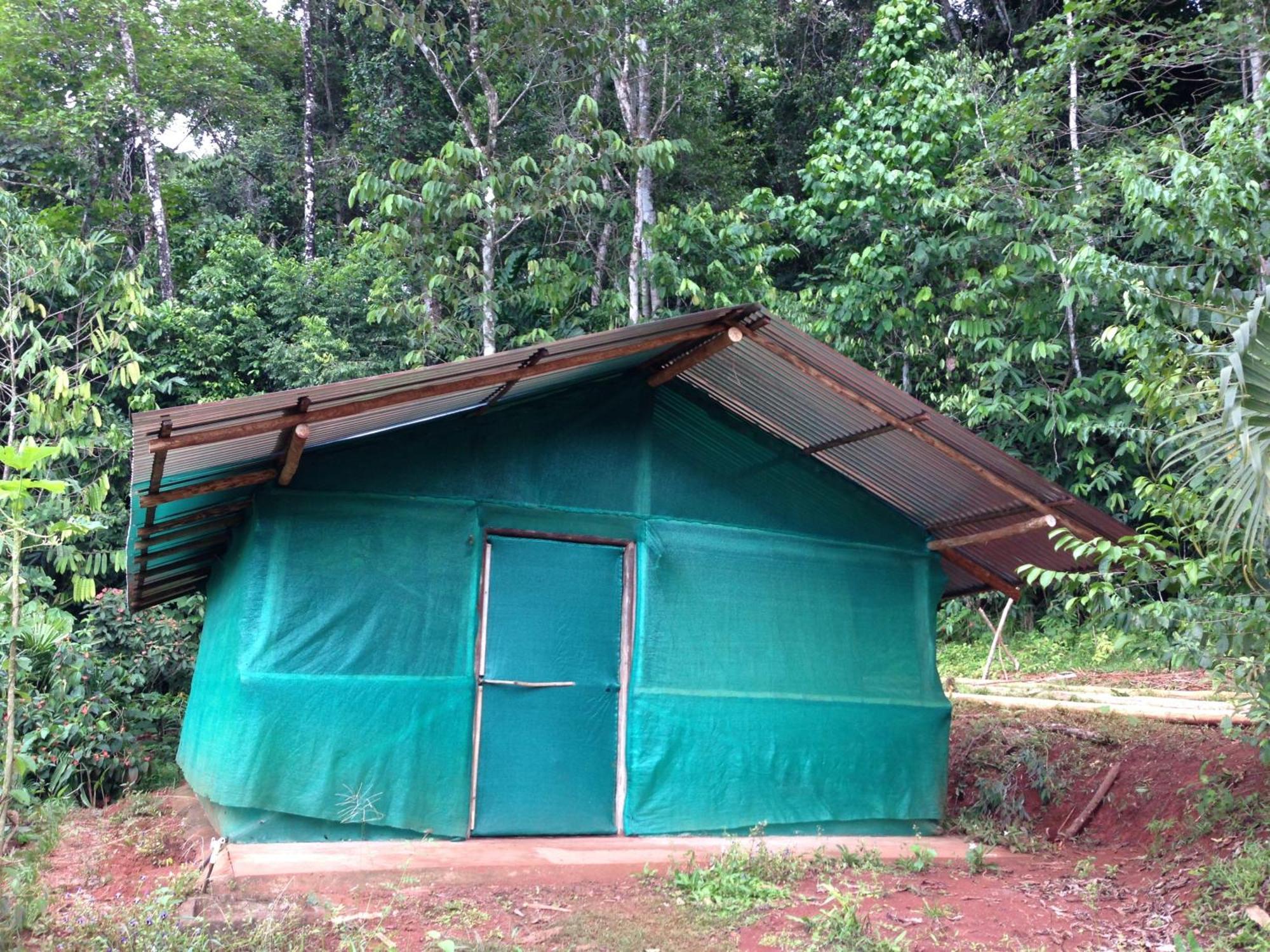 Isla Violin Eco-Lodge Drake Bay ห้อง รูปภาพ